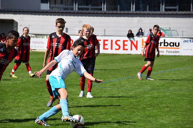 球迷力量的 球迷力量的