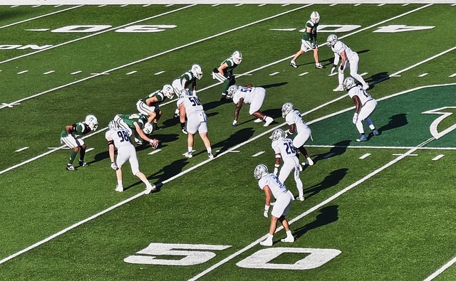 和金光为主 和金光为主