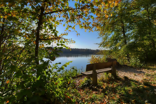 格列兹曼之 格列兹曼之