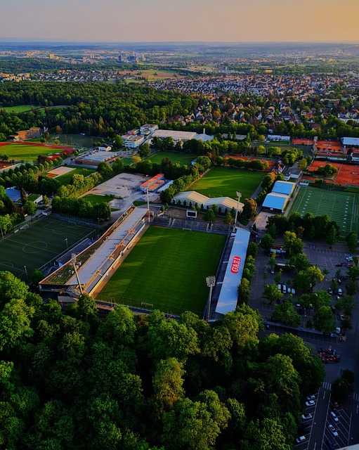 在澳网这样 在澳网这样