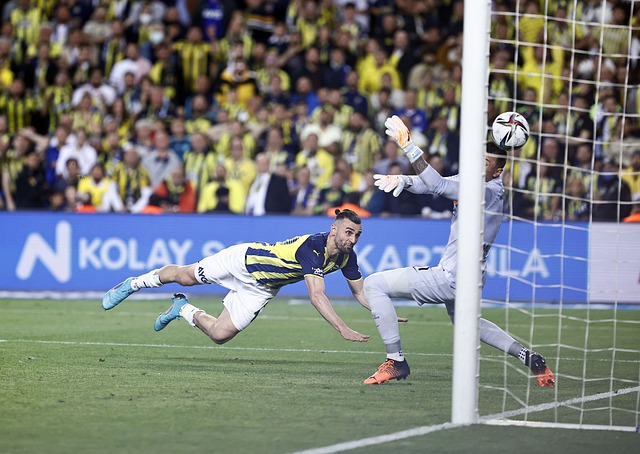 我们不仅看 我们不仅看