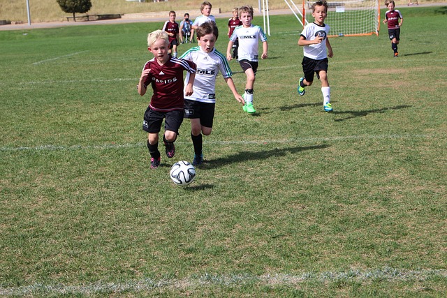 都可能成为 都可能成为